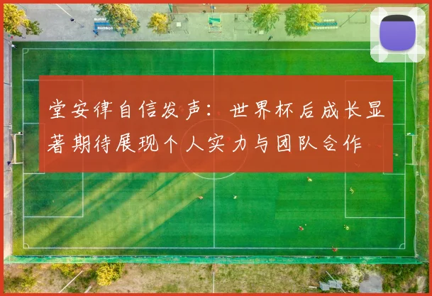 堂安律自信发声：世界杯后成长显著期待展现个人实力与团队合作
